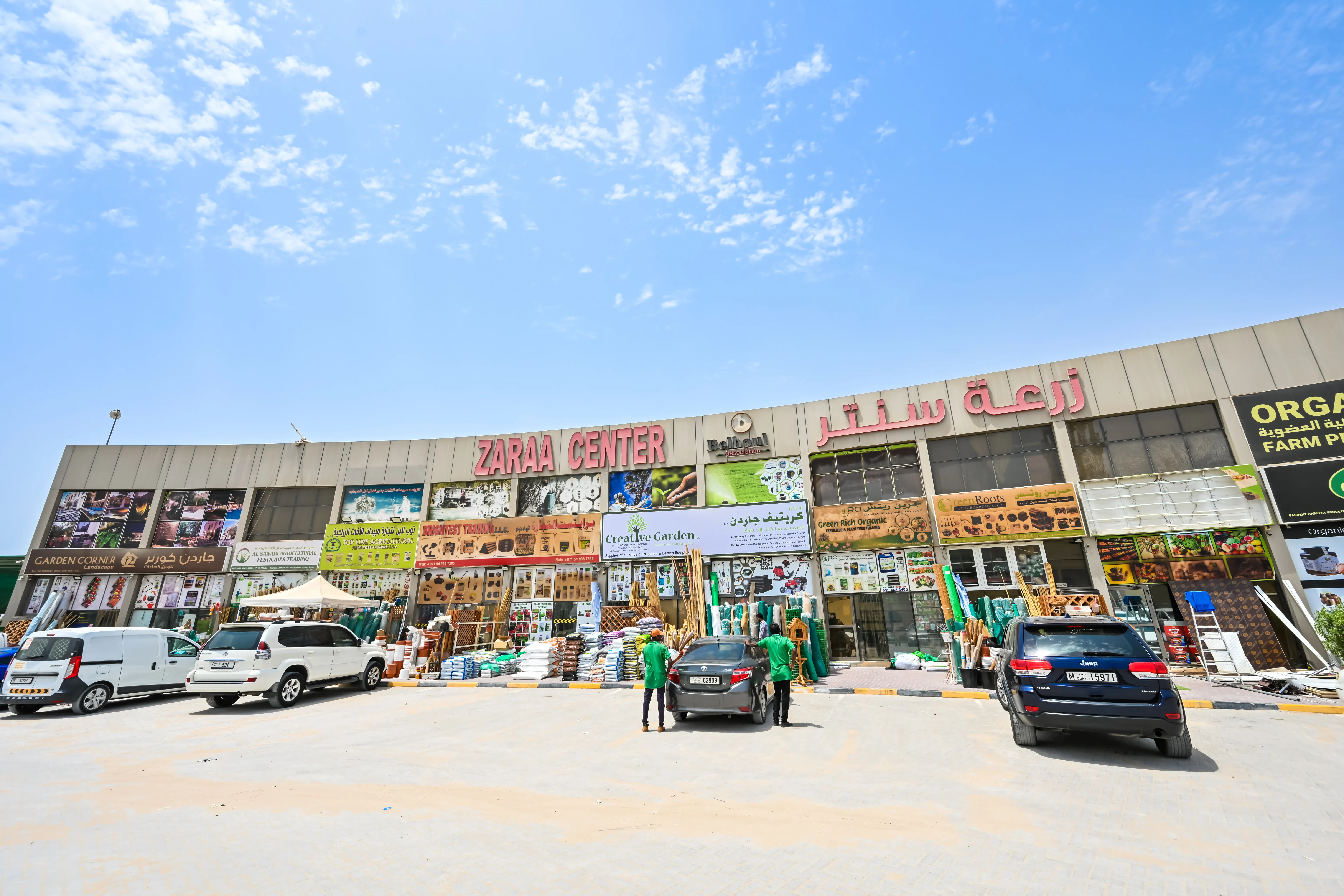 ZARAA CENTER — Plot 811-8266