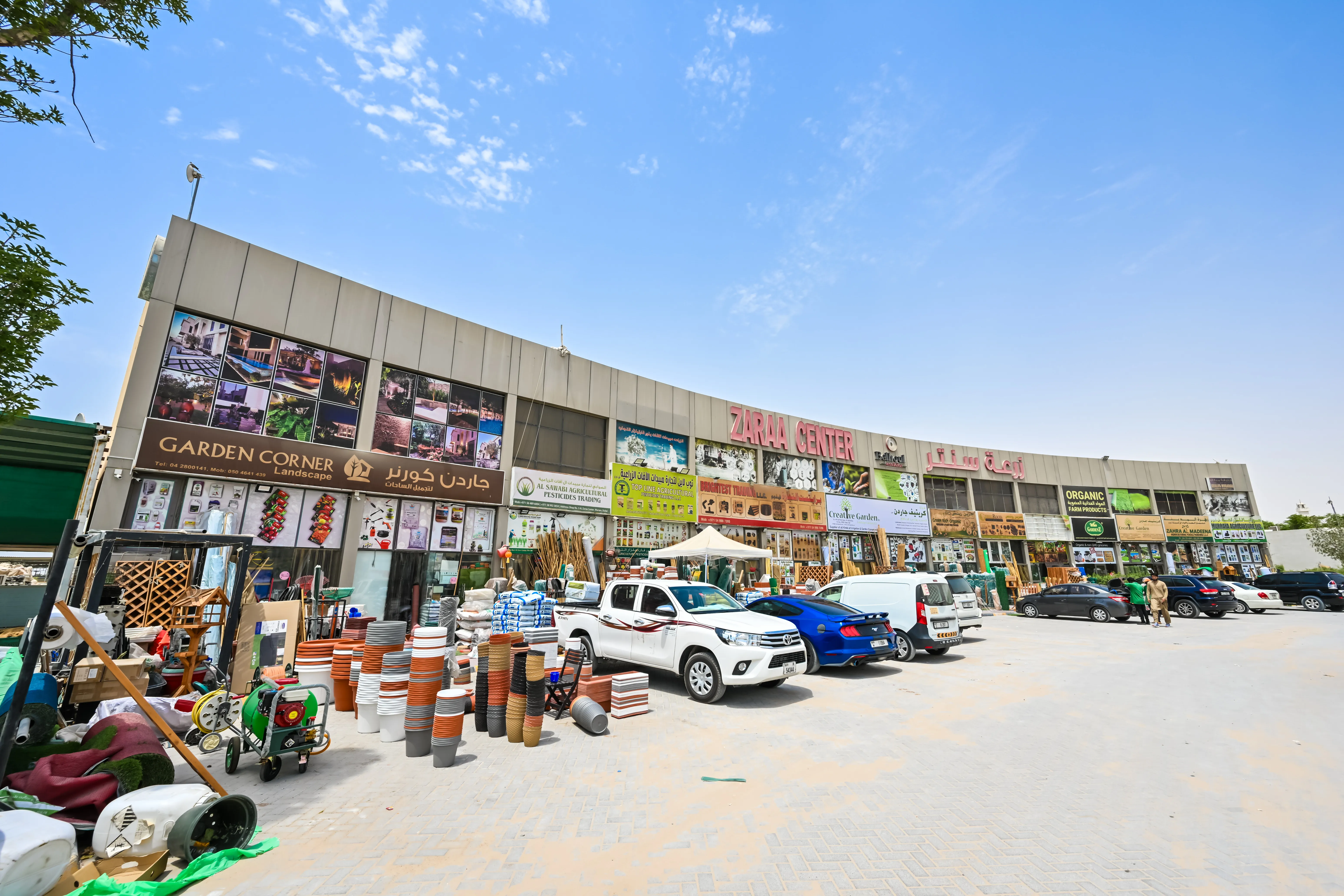 ZARAA CENTER — Plot 811-8266